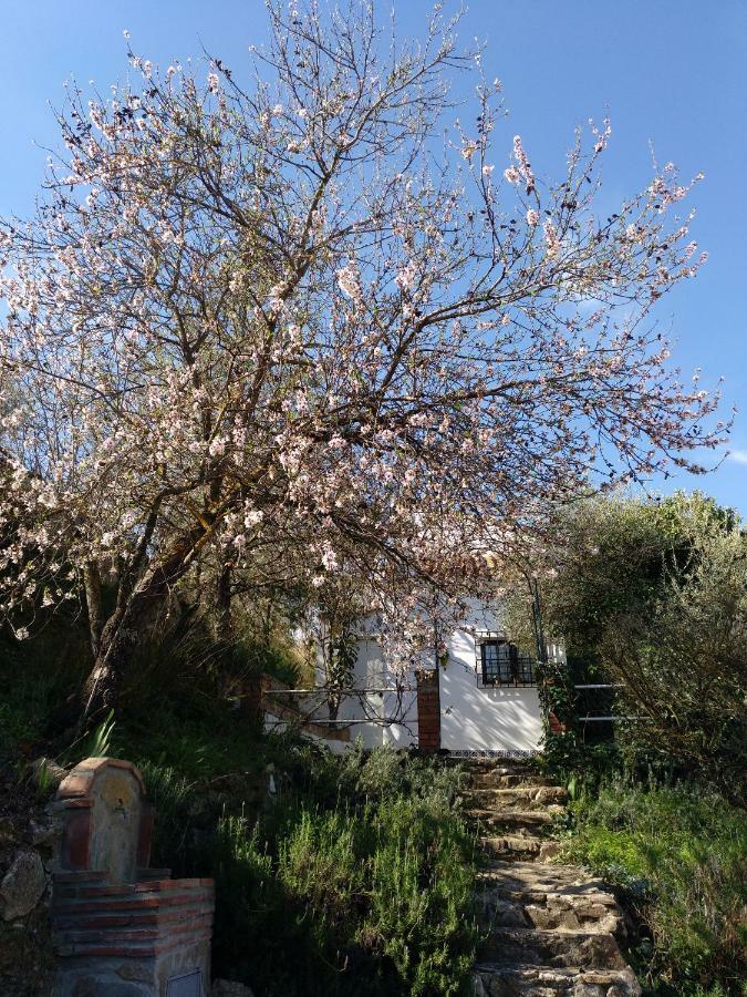 Casa La Liebrecilla Pensionat Ríogordo Eksteriør billede